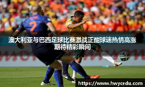 bsports官网入口