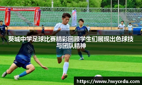 B体育官网
