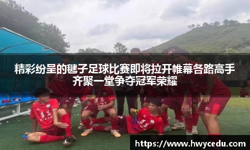 精彩纷呈的毽子足球比赛即将拉开帷幕各路高手齐聚一堂争夺冠军荣耀