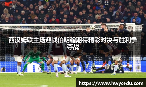 bsports官网入口