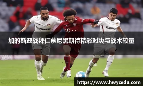 B体育官网