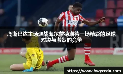 bsports官网入口