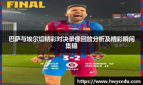 bsports官网入口