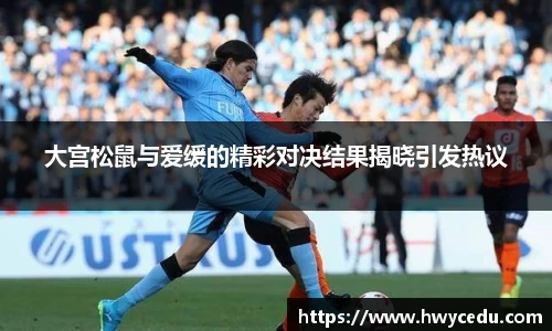 bsports官网入口
