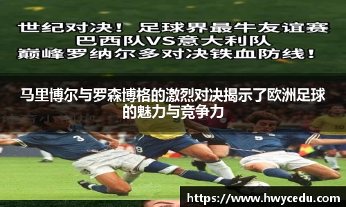 bsports官网入口