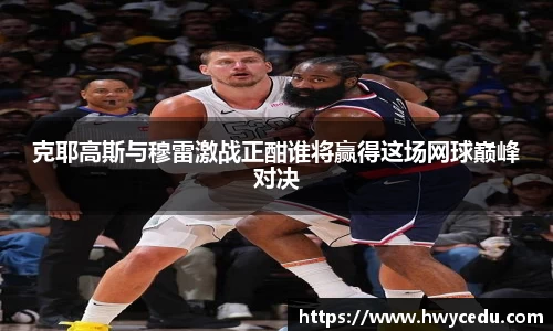 B体育bsports