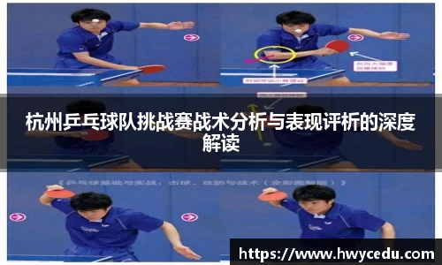 bsports官网入口