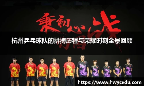 杭州乒乓球队的拼搏历程与荣耀时刻全景回顾